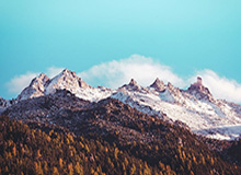 CBA全明星周末遇冷（中）：男篮兵败令全明星尴尬